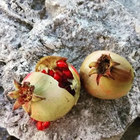 Silvana & Renata Apartman Lumbarda