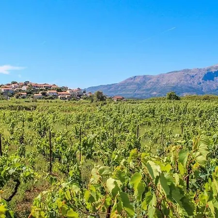 Apartman Silvana & Renata Lumbarda